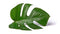 Sustainable Beauty